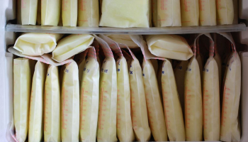 Banco de leche casero