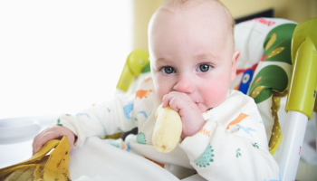 Alimentación complementaria BLW